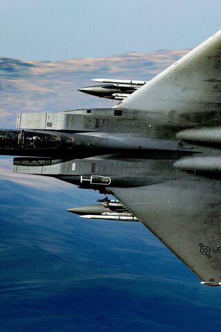 Mighty Eagle in Flight ..