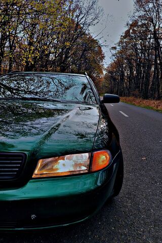 Scenic Drive with a Gre..