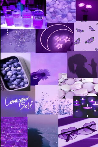 Purple Vibes: A Dreamy ..
