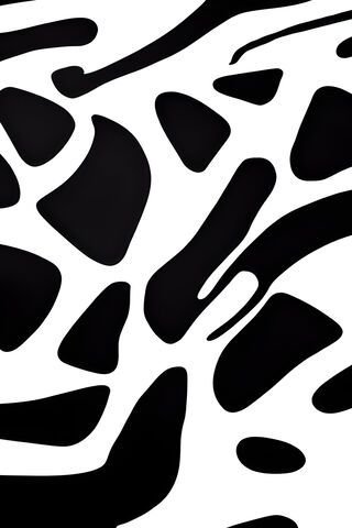 Bold Black and White Ab..