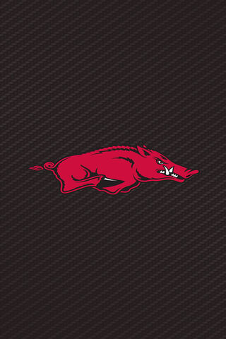 Razorback Pride 🐗❤️