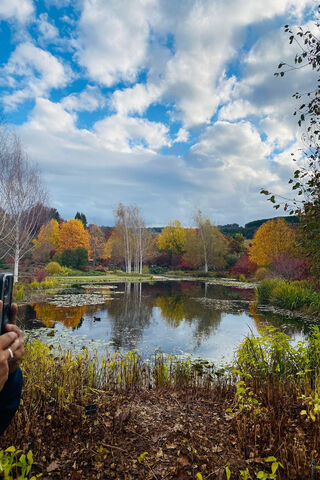 Autumn Serenity 🌳🍂