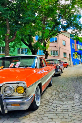 Vintage Vibes on a Colorful Street 🚗🌳