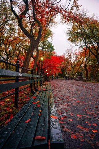 Autumn Serenity in the ..