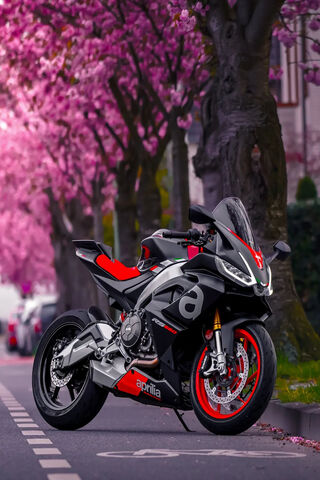 Spring Ride 🌸🏍️