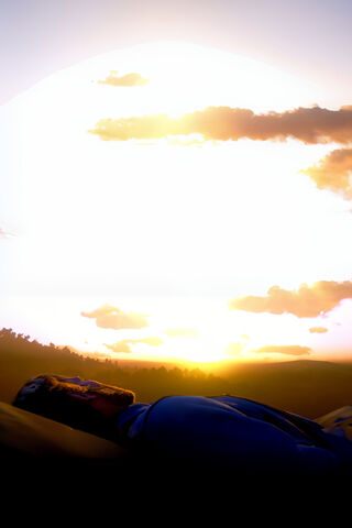 A Hero's Farewell: The ..