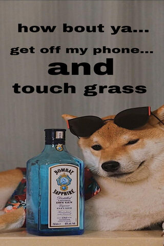 Doge's Sassy Summer Vib..