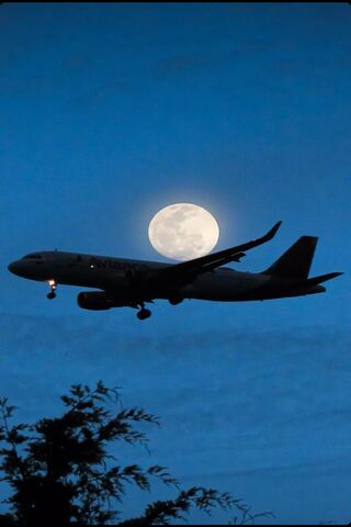 Moonlit Flight 🌕✈️