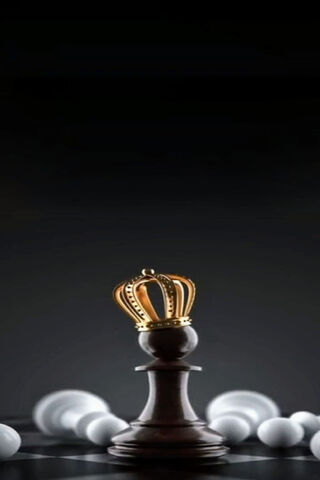 The Crowned King of Chess ♟️👑
