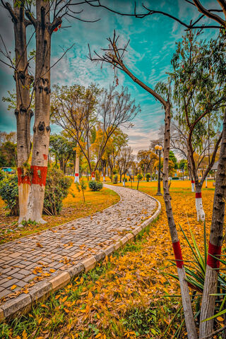 A Pathway In A Park