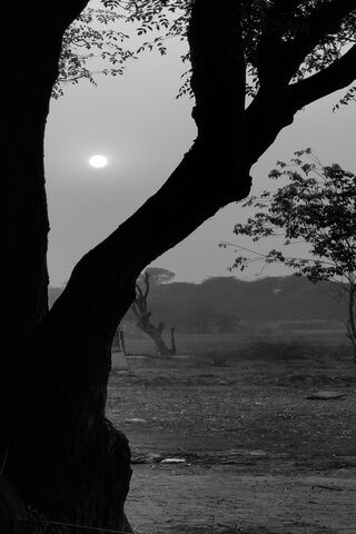 Serene Sunset Silhouett..