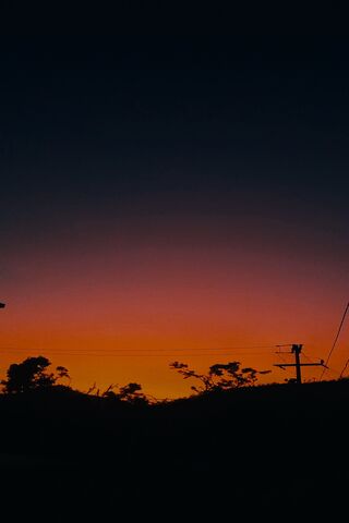 Serene Sunset Silhouette 🌅