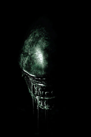 The Haunting Presence of the Xenomorph 👽🌌