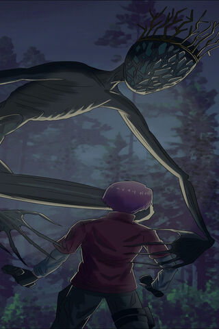 Encounter in the Shadow..