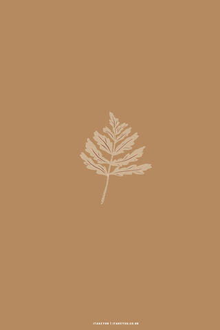 Elegant Leaf Design 🍂