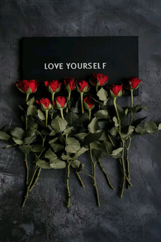 Love Yourself 🌹