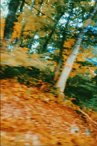 Autumn Motion