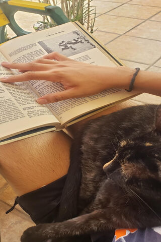 Cozy Reading Companion 📚🐾
