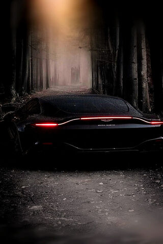 Mysterious Elegance: Th..