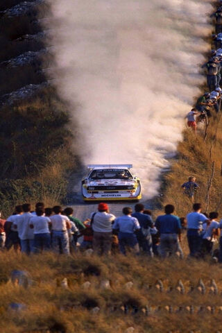 Rally Action: A Blast of Dust and Speed! 🚗💨