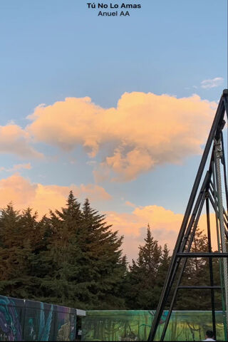 Dreamy Sunset Vibes 🌅