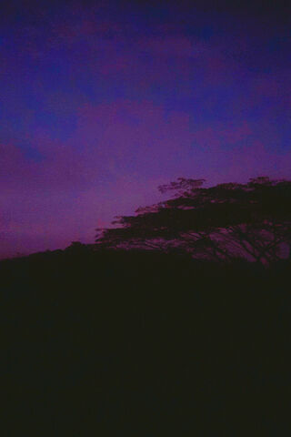Enchanted Twilight 🌌