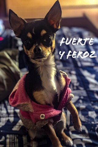 Amara ES+