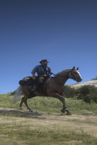 Galloping Through the Wild West 🌄🐎