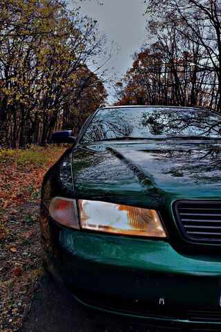 Autumn Drive 🌳🚗