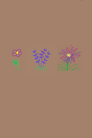 Colorful Floral Trio 🌼..