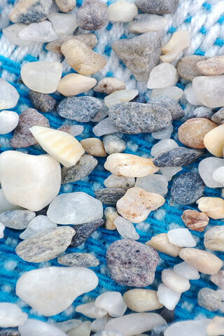 Nature's Tiny Treasures..