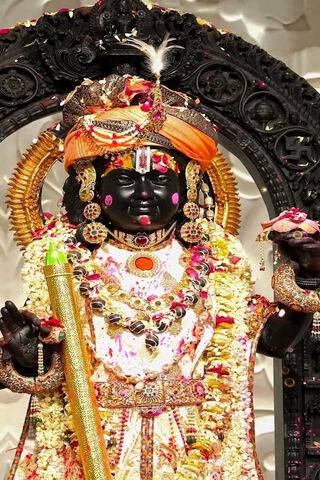 Divine Splendor: The Idol of Lord Krishna 🌼✨