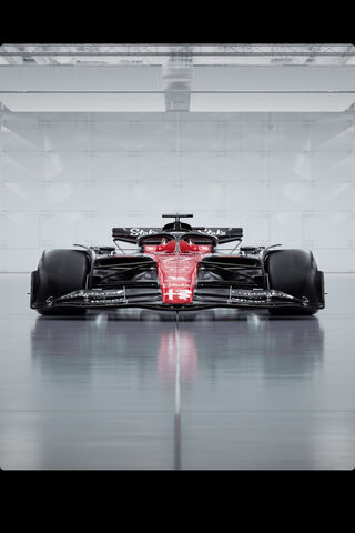 The Sleek Power of the ..
