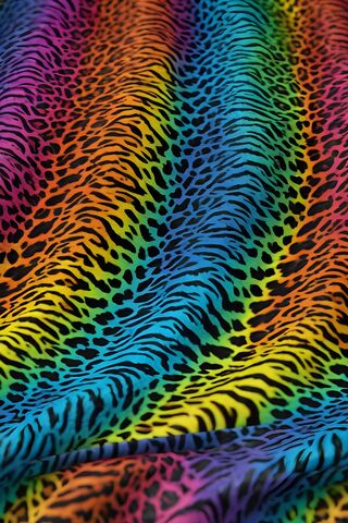 Vibrant Rainbow Leopard..