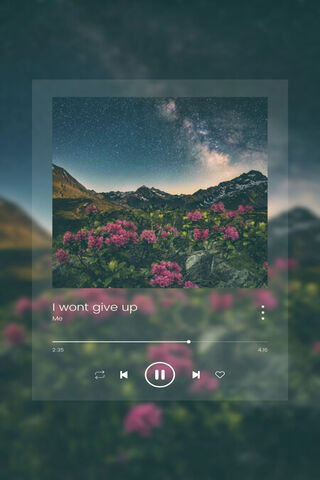 Never Give Up: A Journey Through Resilience 🌌🌸