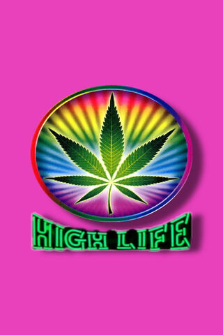 High Life Vibes 🌈🍃