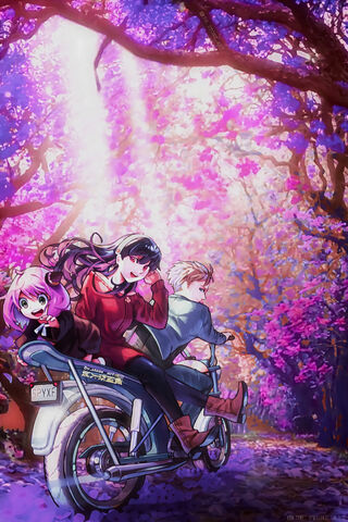 Spring Adventure 🌸🚴‍♂️