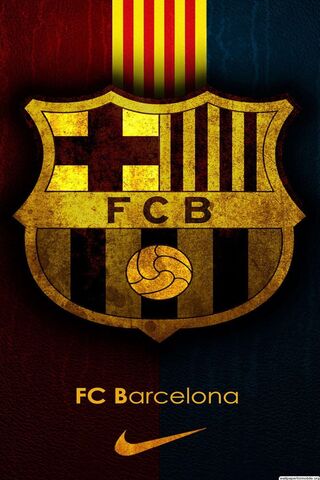 Barcelona Fans Celebrating Winning Soccer Champions League Cup