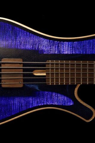 Bass Guitar