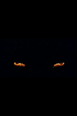 Mysterious Glow: The Ey..