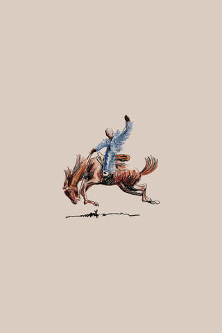 Wild Ride 🎠