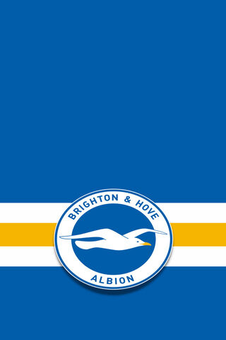 Brighton & Hove Albion Logo