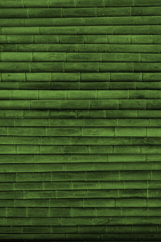 Serene Green Bamboo Wal..