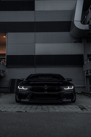 Sleek Shadows: The Allu..