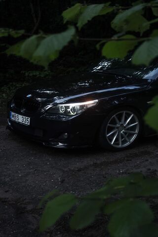 Sleek Black Beauty in t..