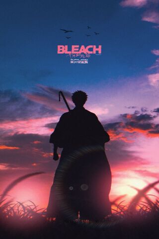 Bleach Tybw