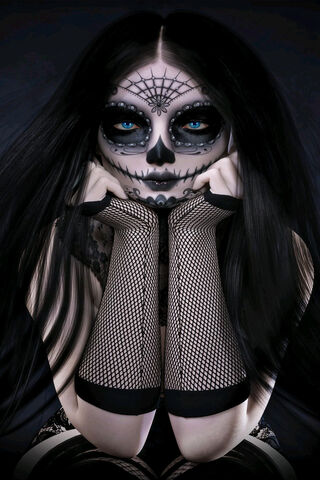 Enigmatic Elegance: The..