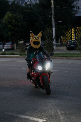 Pokémon Rider on a Night Adventure! 🏍️✨