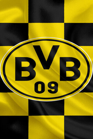 Bold Colors of BVB 🖤💛
