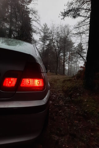 Mysterious Drive in the..